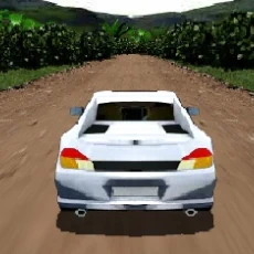 Nitrolu Araba Yarış